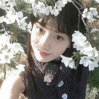 姐妹会大屠杀 高清封面